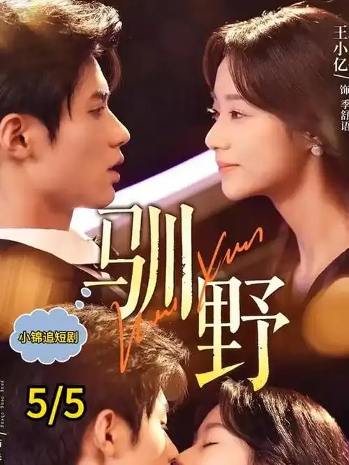 城中村手记现实题材电视剧全集